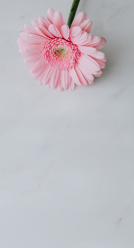 img (9)